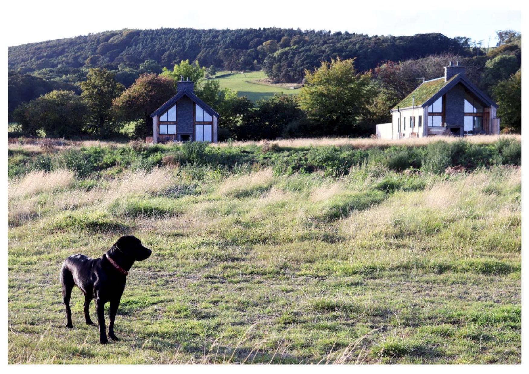 Eco-Lodge With Sea View Charleton Estate Colinsburgh Exterior foto
